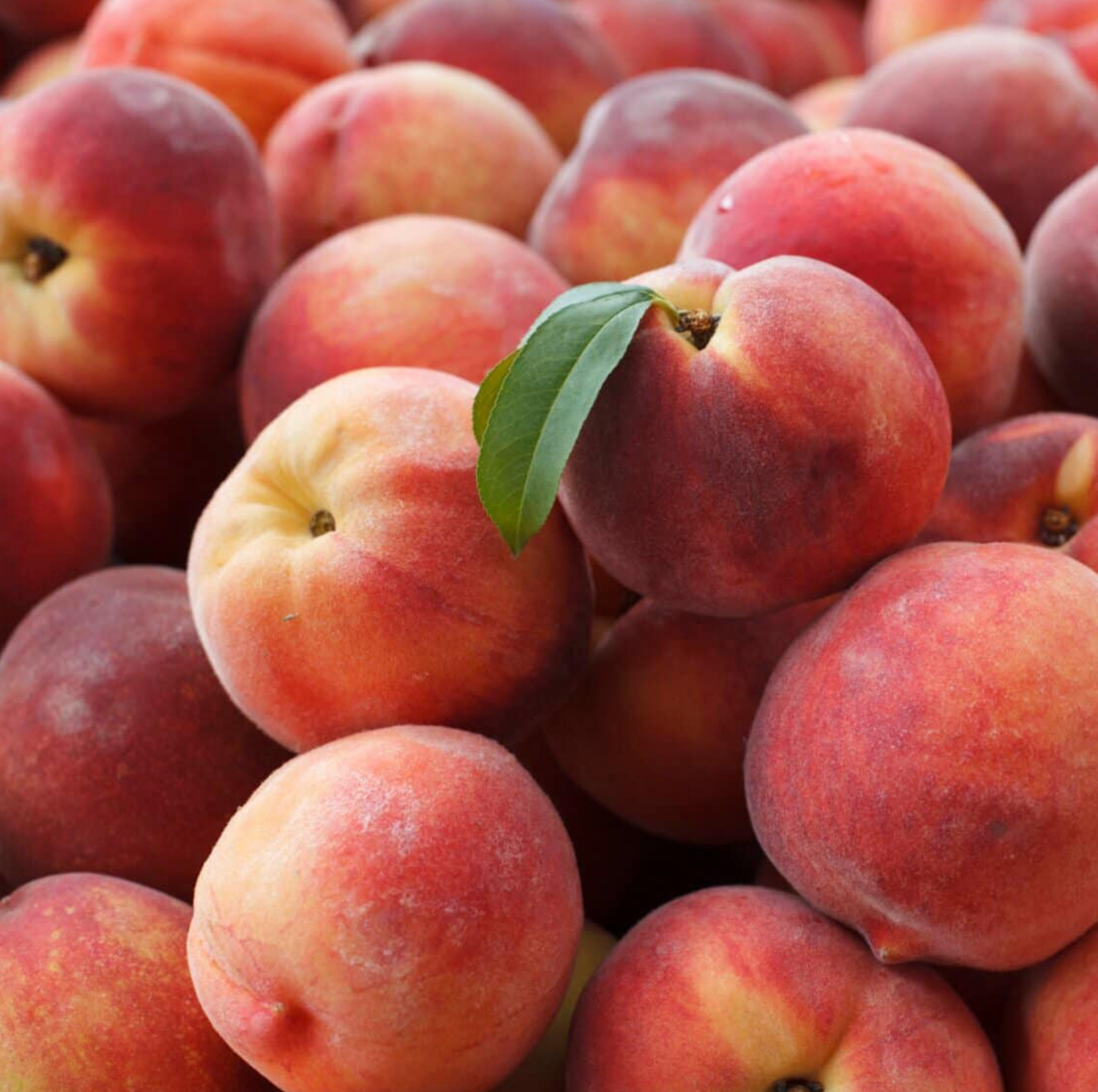 Princess Diamond Peaches