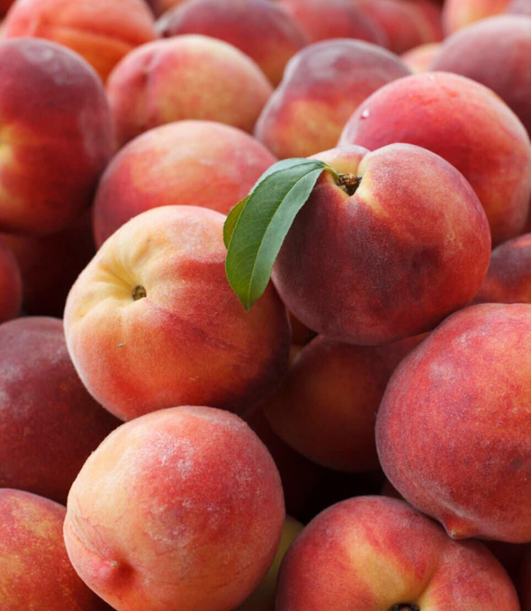 Princess Diamond Peaches